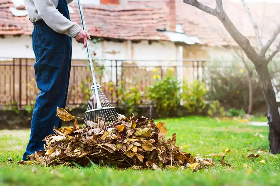 How To Clean A Backyard in Fishers, IN