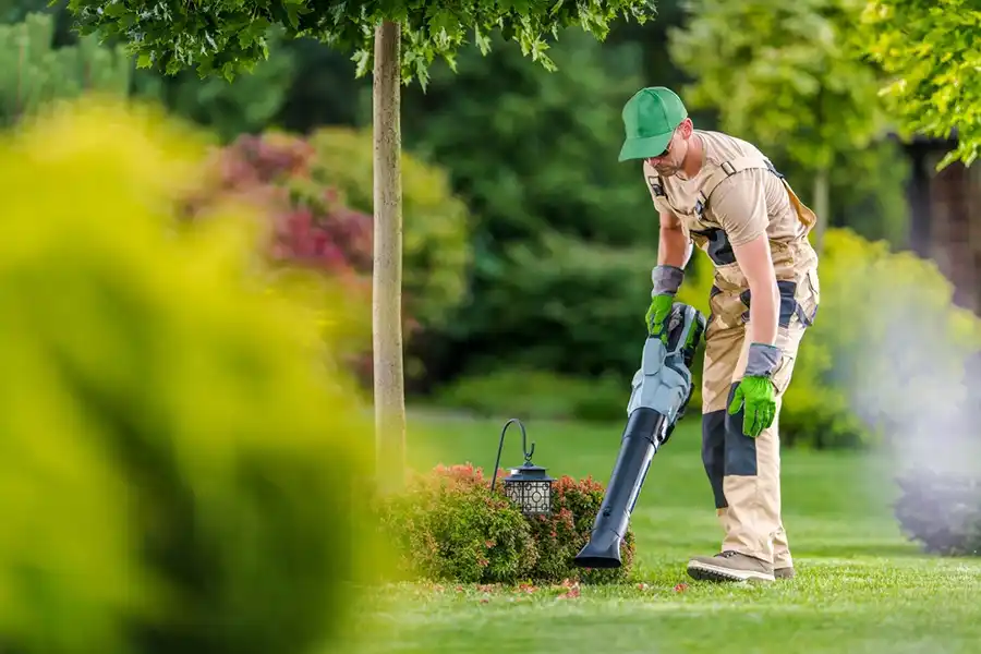 How To Clean A Backyard Fishers, IN