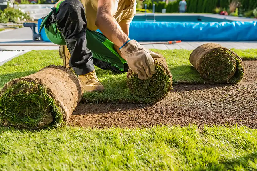 How long after installing sod can you walk on it in Fishers, IN