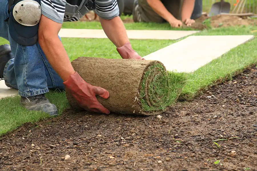 How long after installing sod can you walk on it Fishers, IN