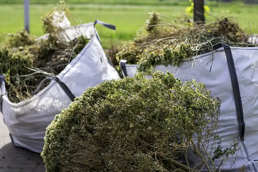 How to clear a yard full of weeds in Fishers, IN