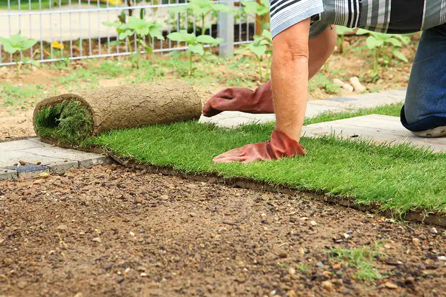 How to lay sod over existing lawn in Fishers, IN