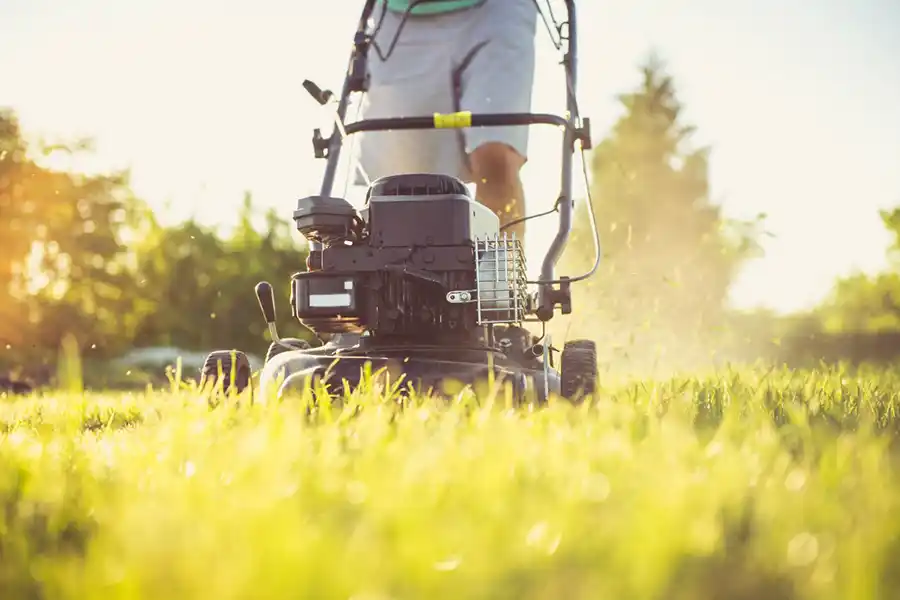 How to mow a lawn Fishers, IN