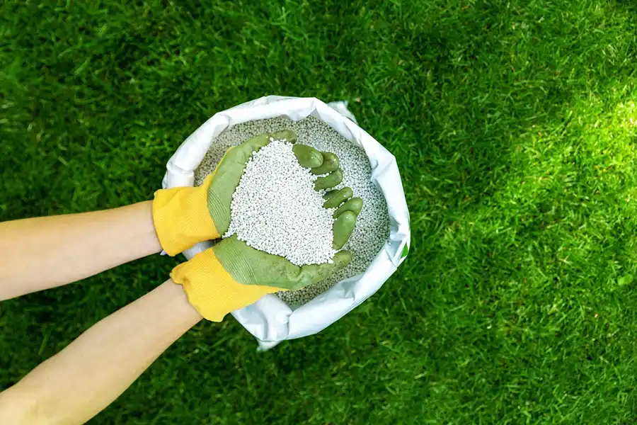 When is the best time to fertilize your lawn Fishers, IN