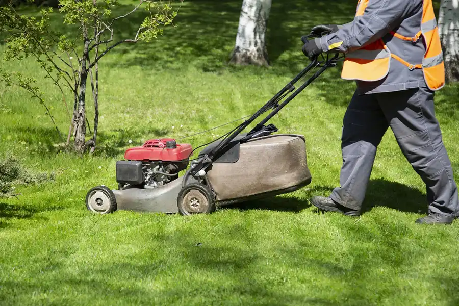 Lawn Care