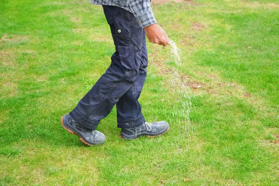 Efficient Lawn Fertilization in Fishers, IN