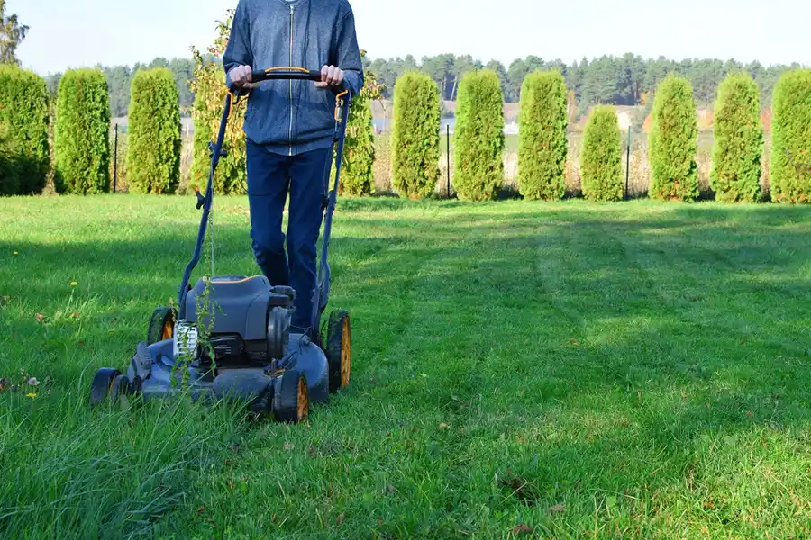 Efficient Lawn Mowing in Fishers, IN