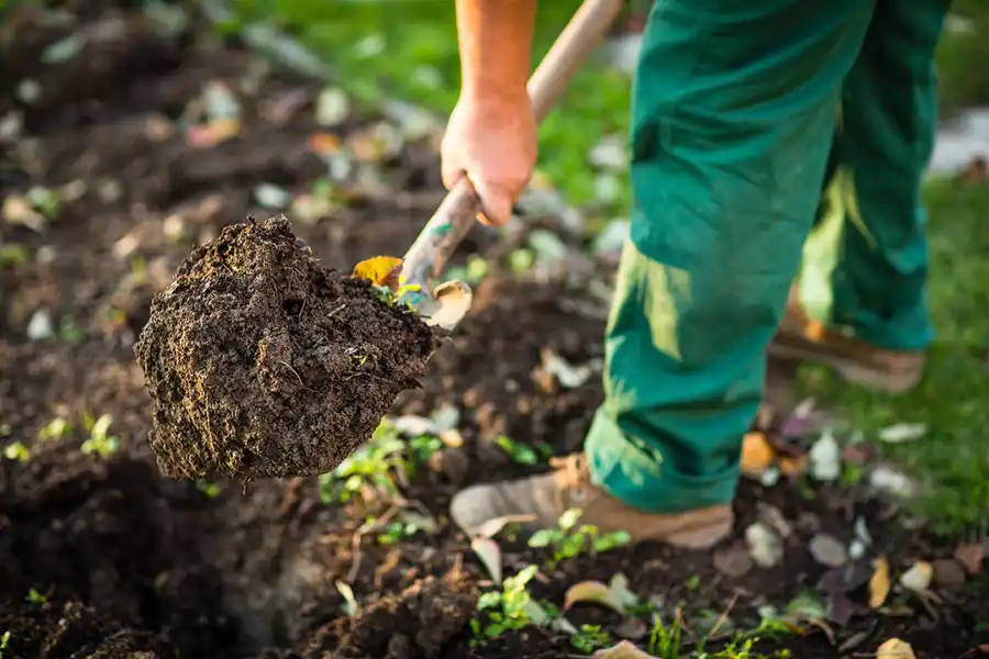 Reliable Mulching in Fishers, IN