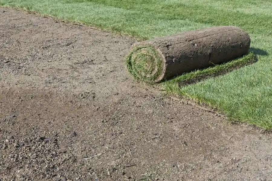 Efficient Sod Installation in Fishers, IN