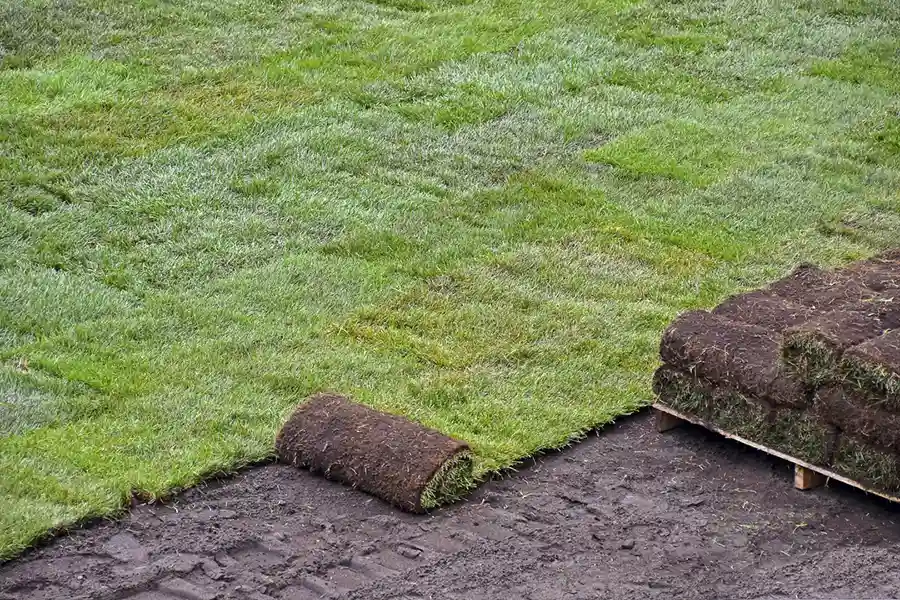 Best Sod Installation in Fishers, IN