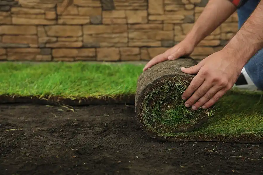 Reliable Sod Installation in Fishers, IN