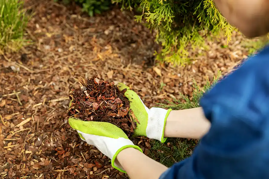 What does mulch do in Fishers, IN