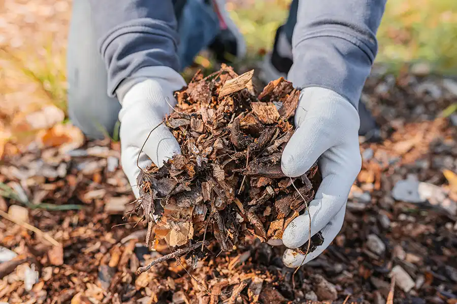 What does mulch do Fishers, IN