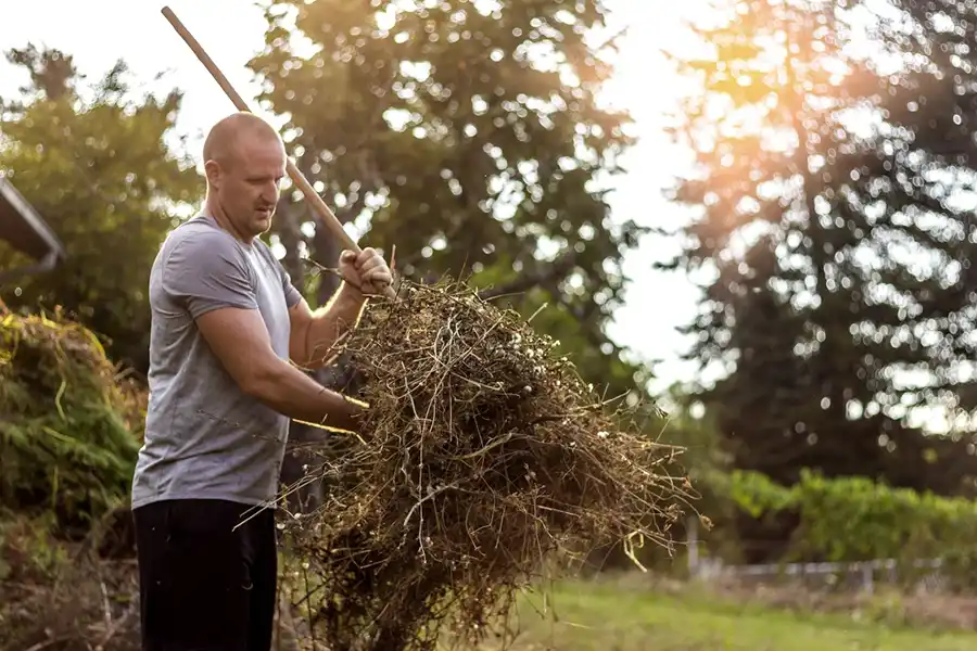 Efficient Yard cleanup in Fishers, IN