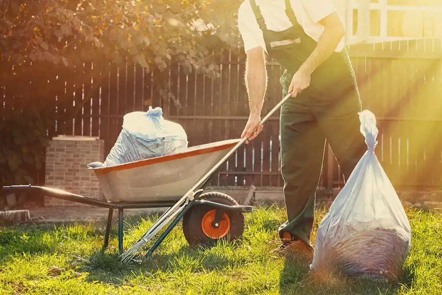 Best Yard cleanup in Fishers, IN